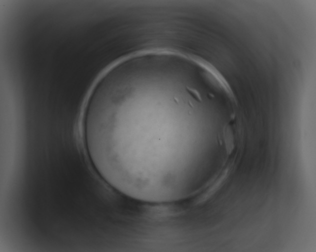 X0000101471004200807071439
