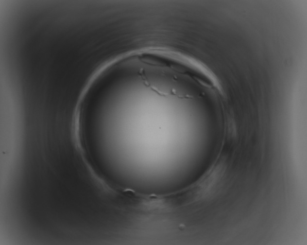 X0000101471006200807071439