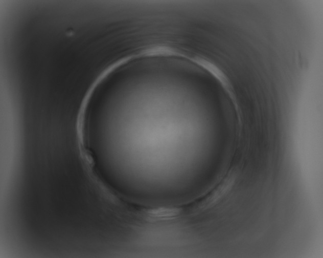 X0000101471008200807071439