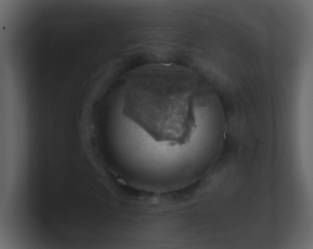 X0000101471009200807071438