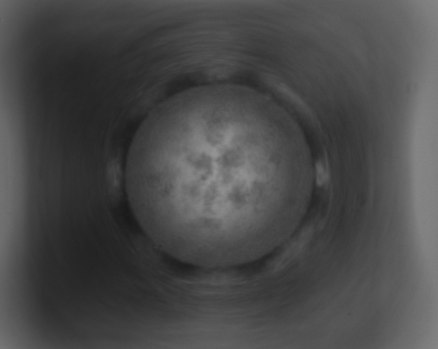 X0000101471011200807071439