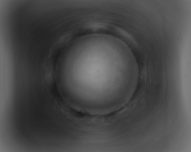 X0000101471014200807071439