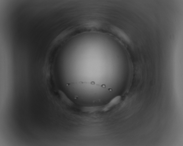 X0000101471016200807071439