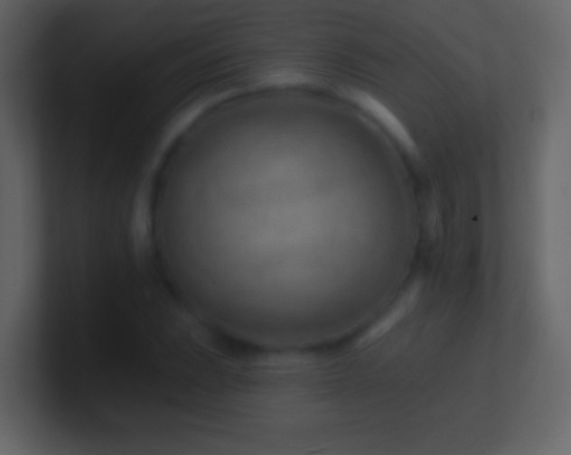 X0000101471023200807071439