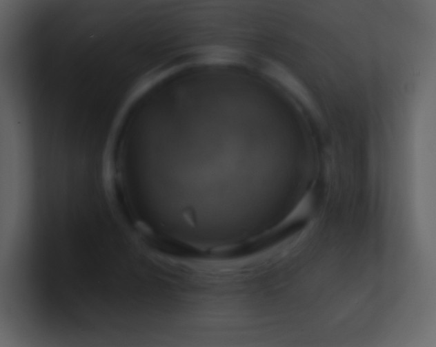 X0000101471024200807071439