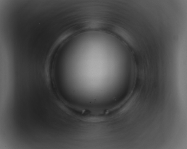 X0000101471026200807071439
