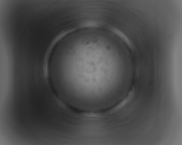 X0000101471027200807071439