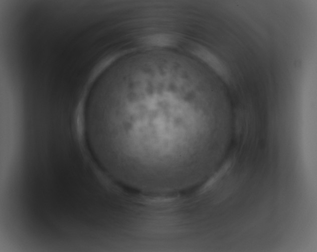 X0000101471031200807071439