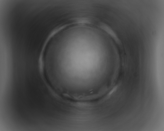X0000101471032200807071439