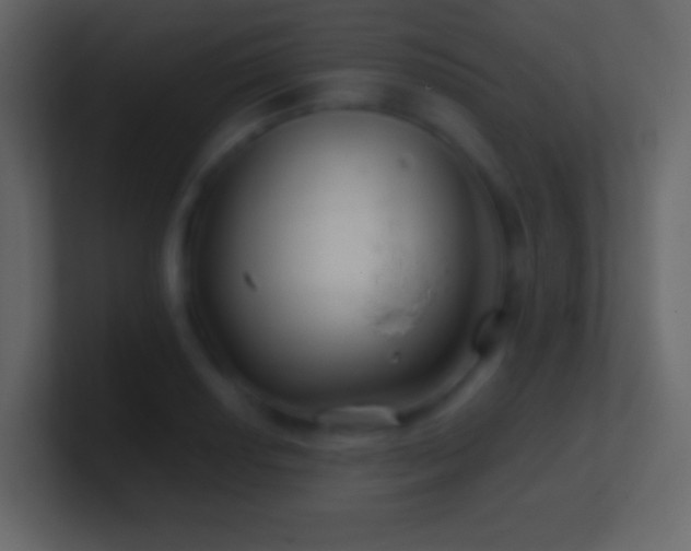 X0000101471034200807071439