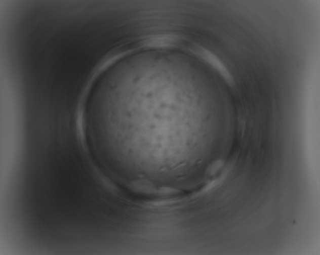 X0000101471035200807071439