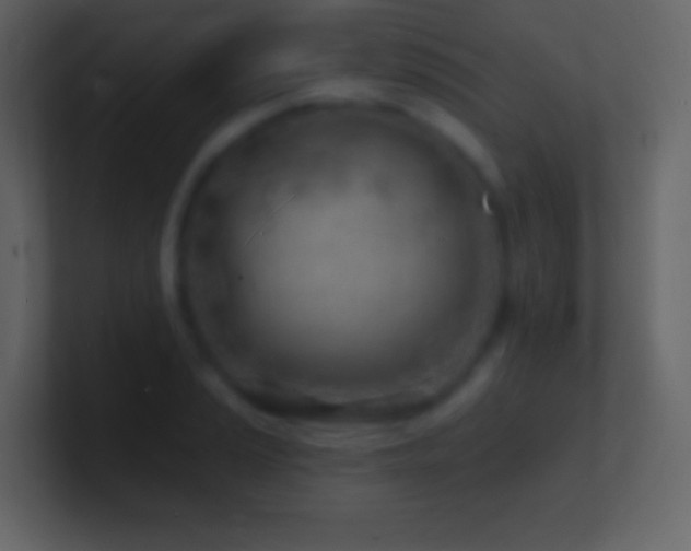 X0000101471037200807071439