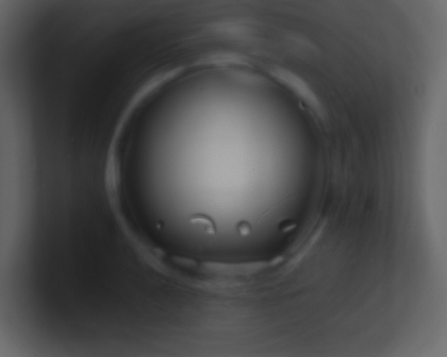 X0000101471040200807071439
