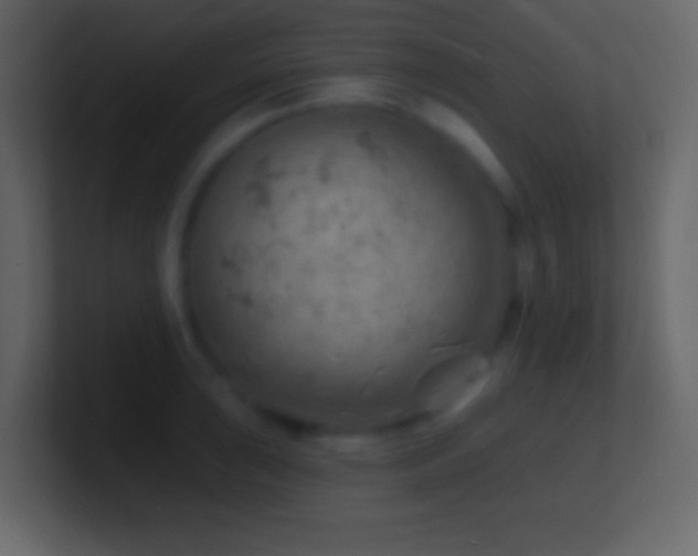 X0000101471043200807071439