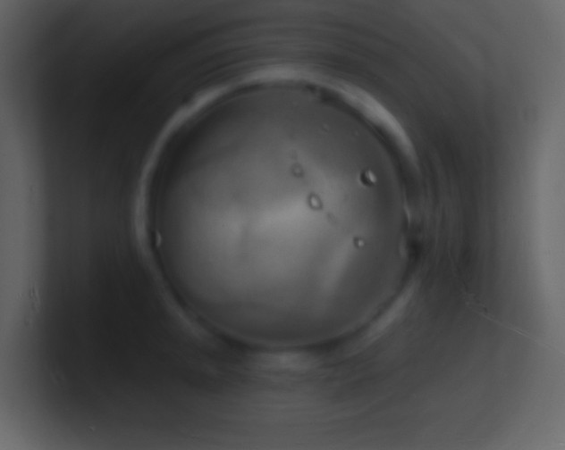 X0000101471045200807071439