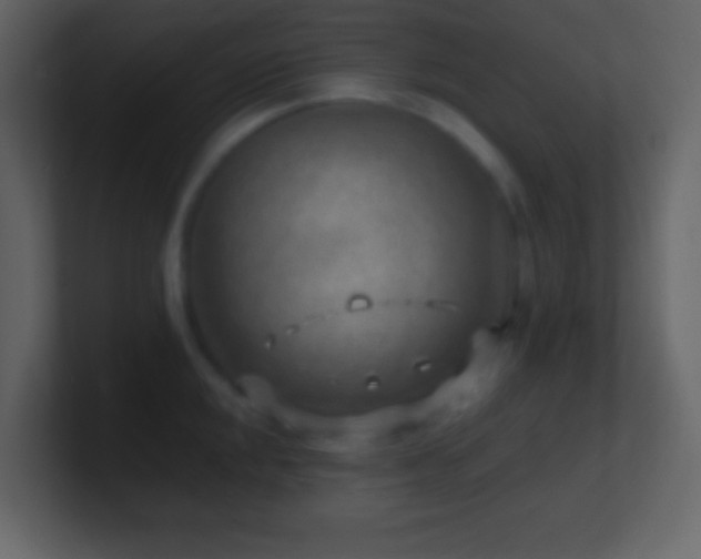 X0000101471048200807071439