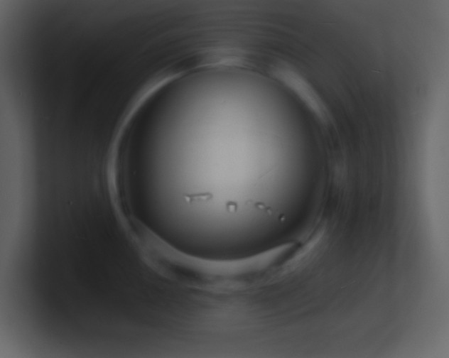X0000101471050200807071439