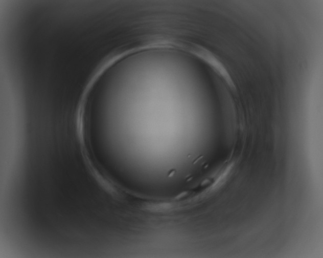 X0000101471054200807071439