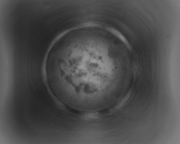 X0000101471055200807071439