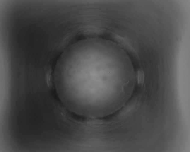 X0000101471059200807071438