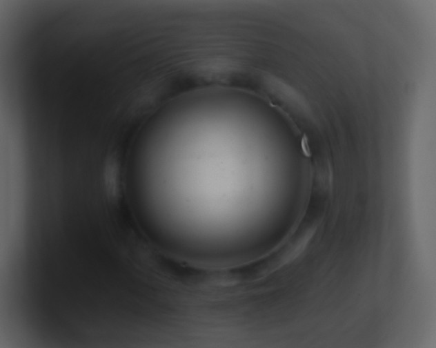 X0000101471060200807071438