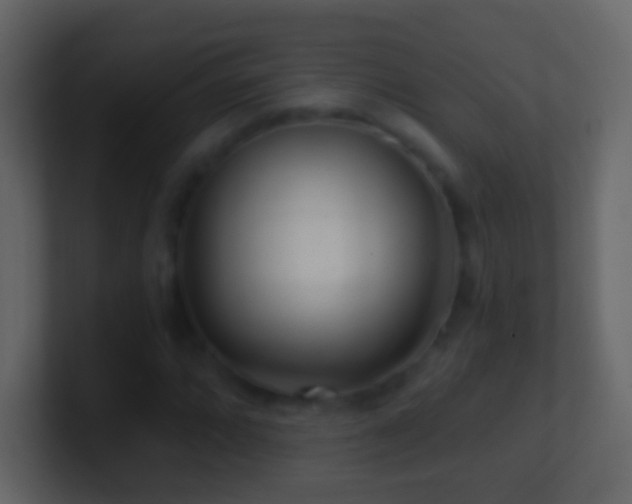 X0000101471064200807071438
