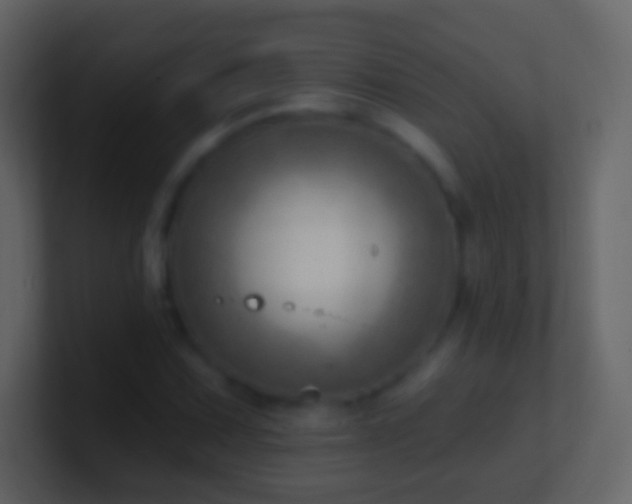 X0000101471067200807071438
