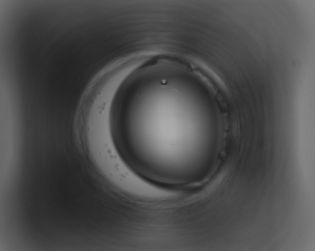 X0000101471069200807071438