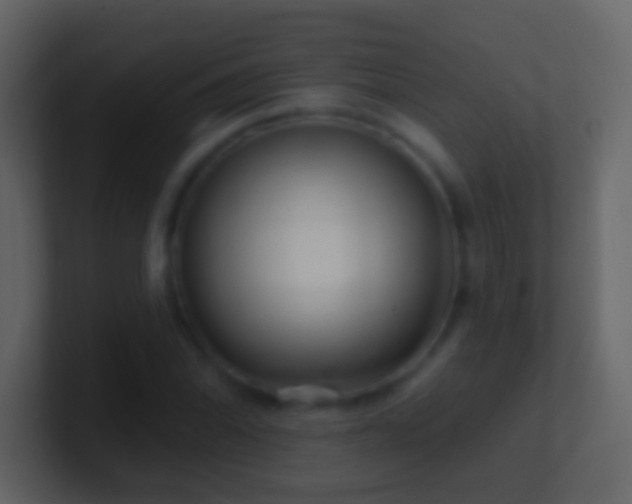 X0000101471070200807071438