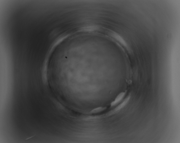 X0000101471071200807071438