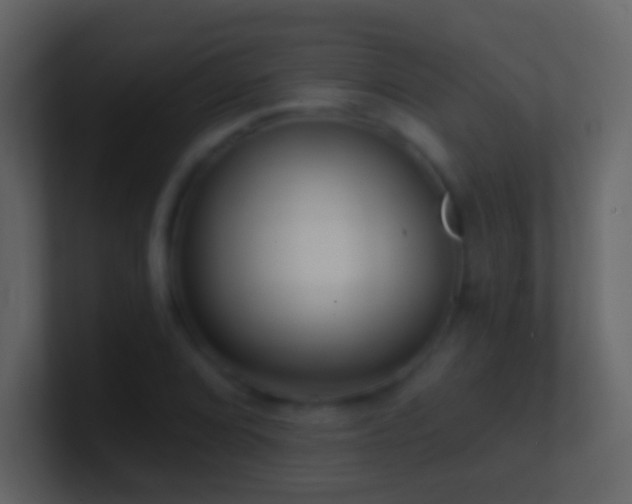 X0000101471072200807071438