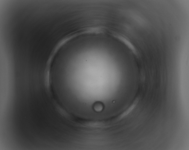 X0000101471075200807071438