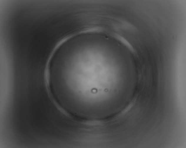 X0000101471079200807071438