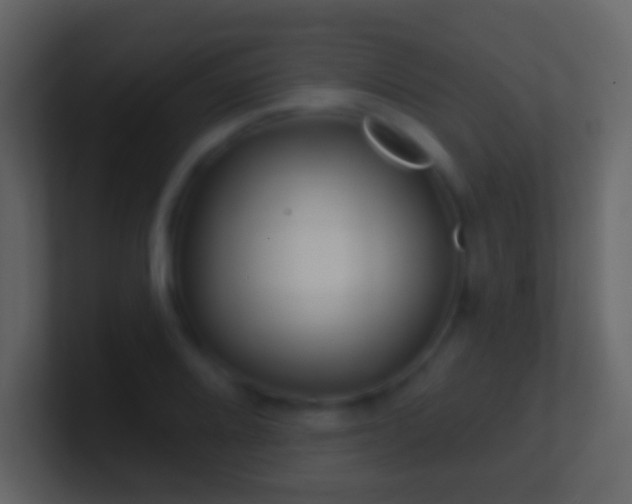 X0000101471080200807071438