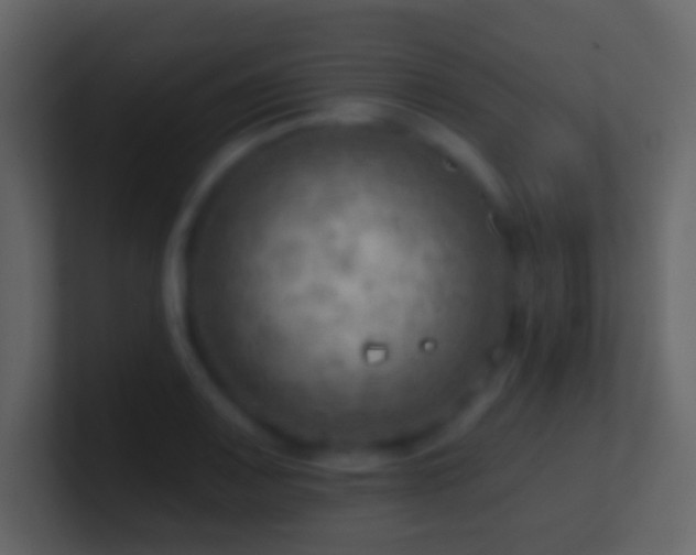 X0000101471083200807071438