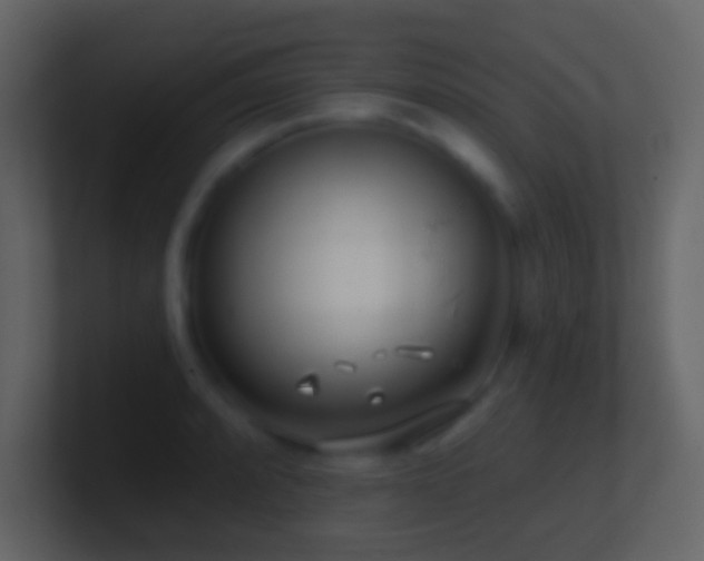 X0000101471088200807071438