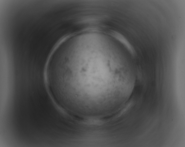 X0000101471090200807071438