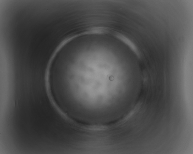 X0000101471091200807071438
