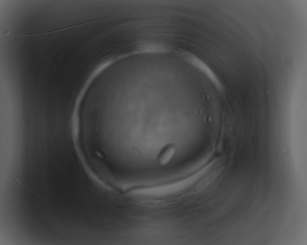 X0000101471095200807071438
