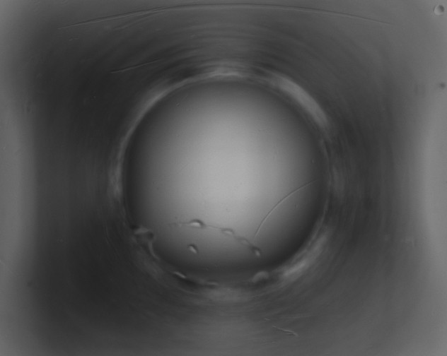 X0000101471097200807071438