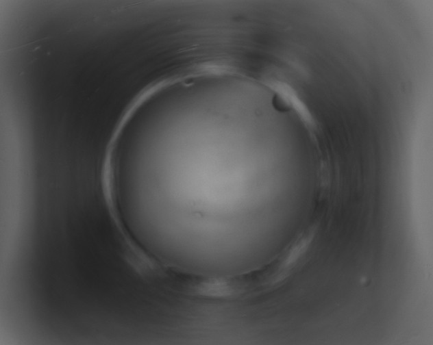 X0000101471098200807071438