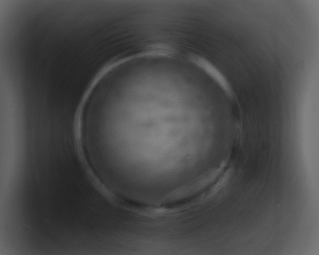X0000101471099200807071438