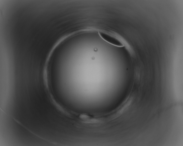 X0000101471100200807071438