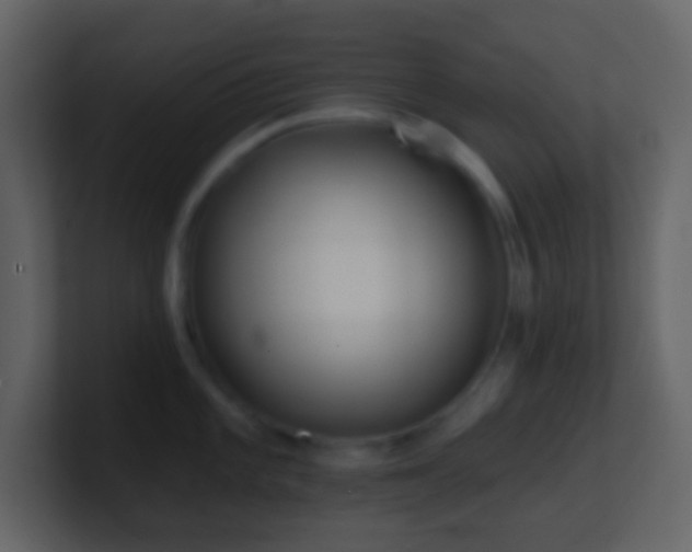 X0000101471101200807071438