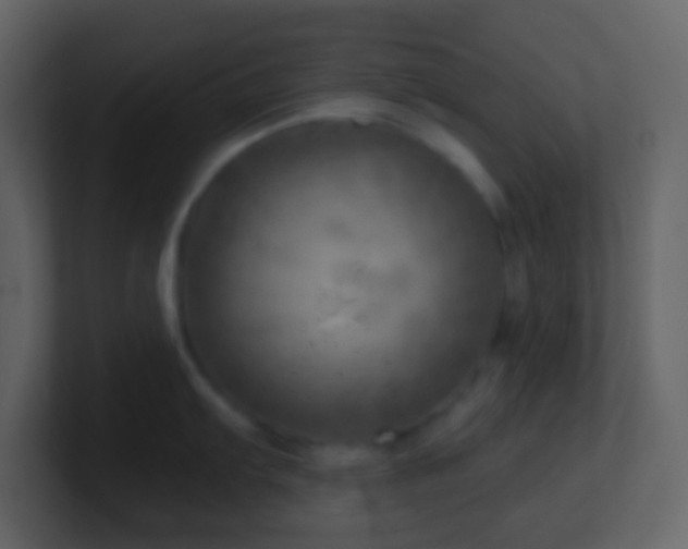 X0000101471103200807071438