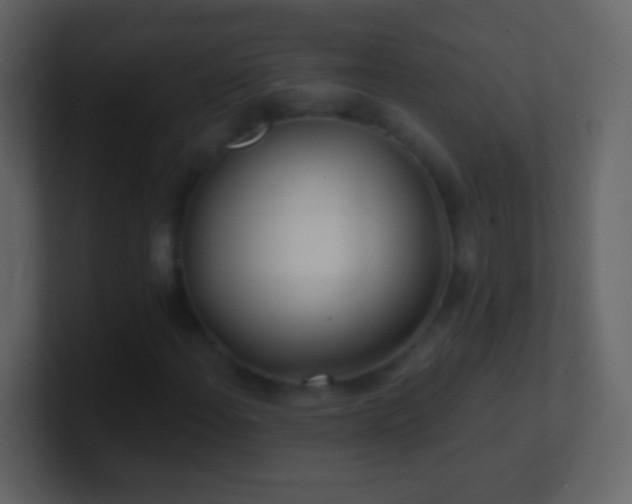 X0000101471108200807071437