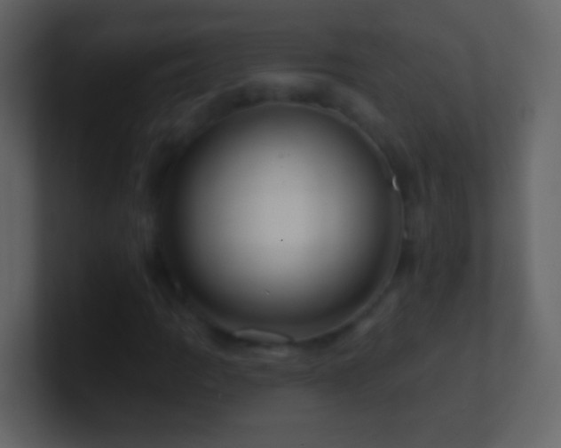 X0000101471109200807071437