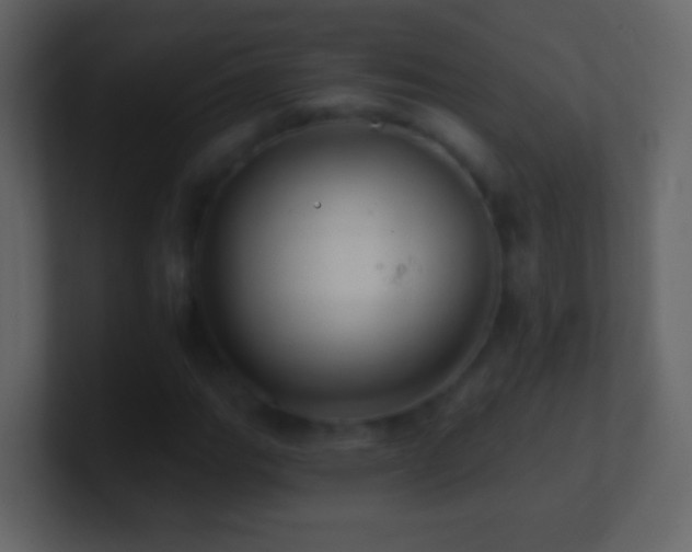 X0000101471111200807071437