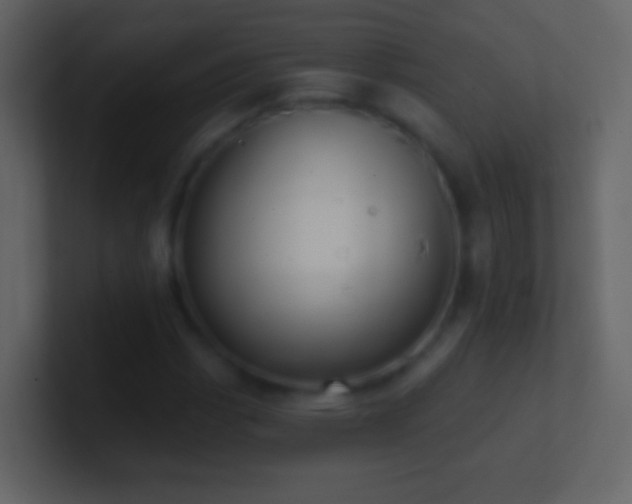 X0000101471113200807071437