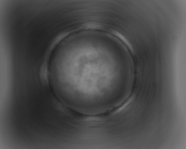 X0000101471115200807071437